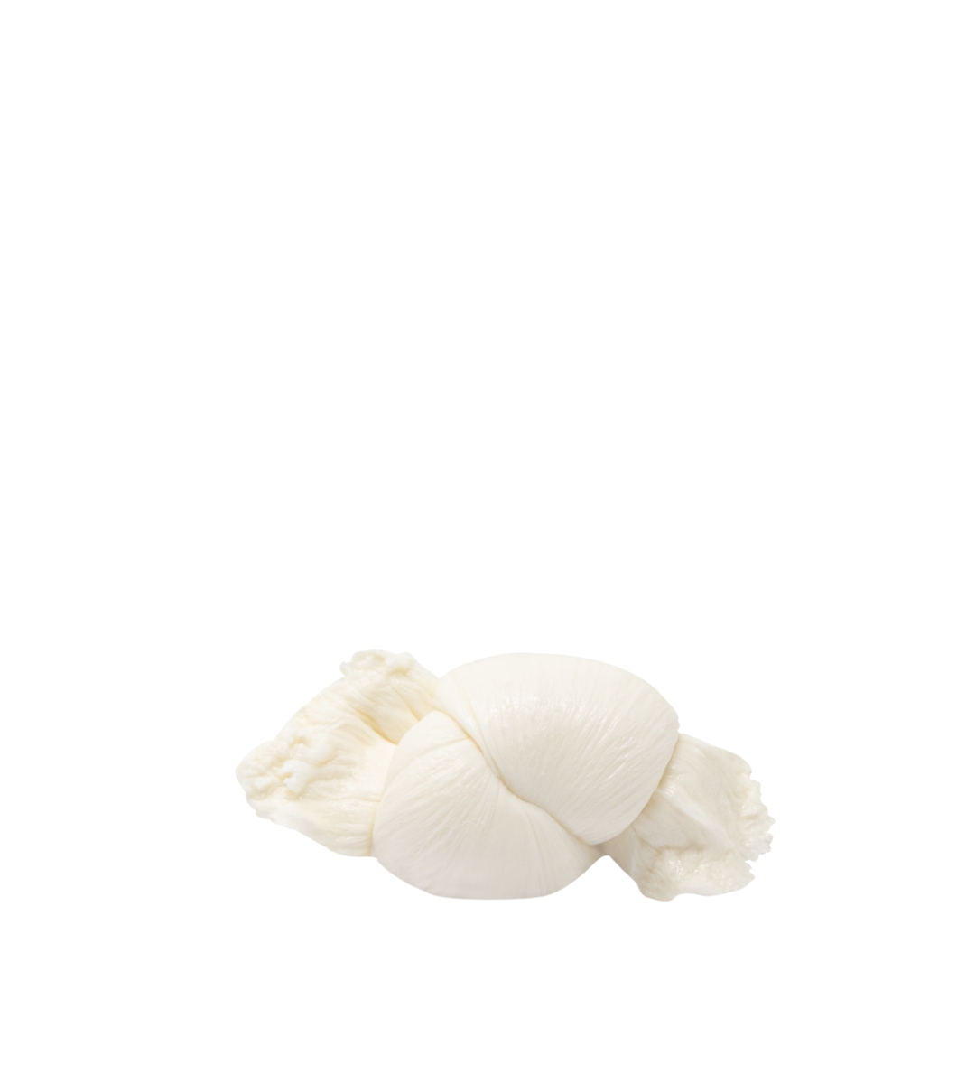 NODINO NODINO - immagine 1