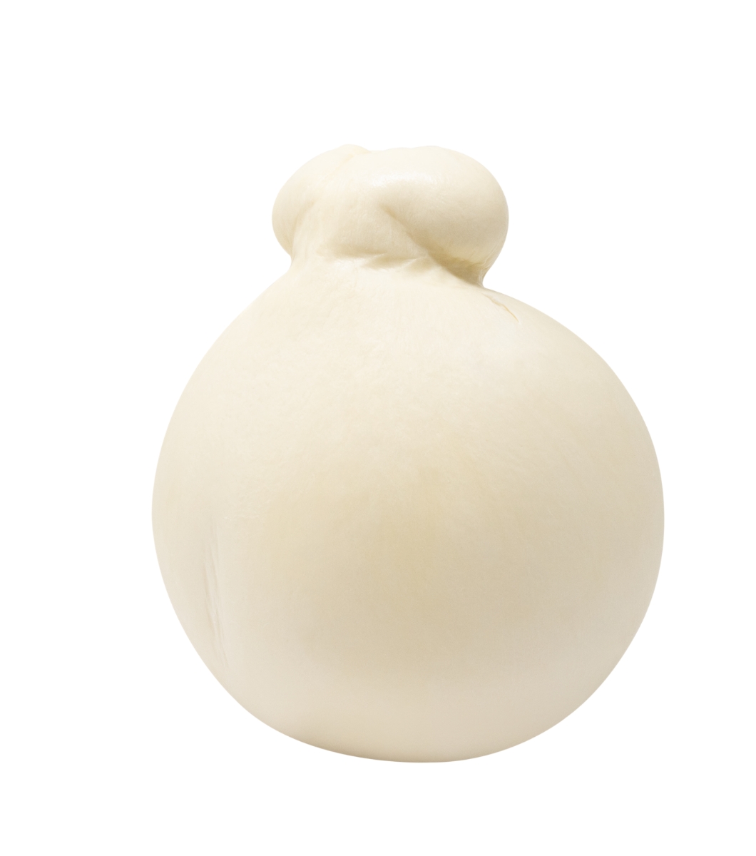 SCAMORZONE SCAMORZONE - immagine 1